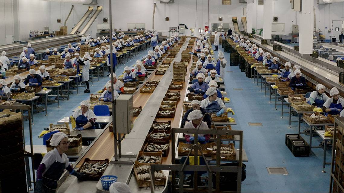 Domingo Feria y la lejana tradición de salazones