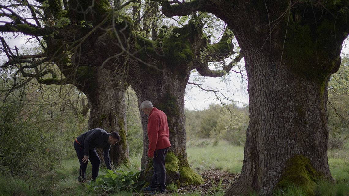 Una estrella Michelin en el corazón del Pirineo aragonés